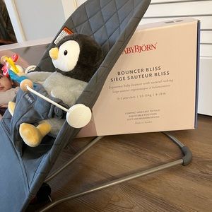 Baby Bjorn Bouncer